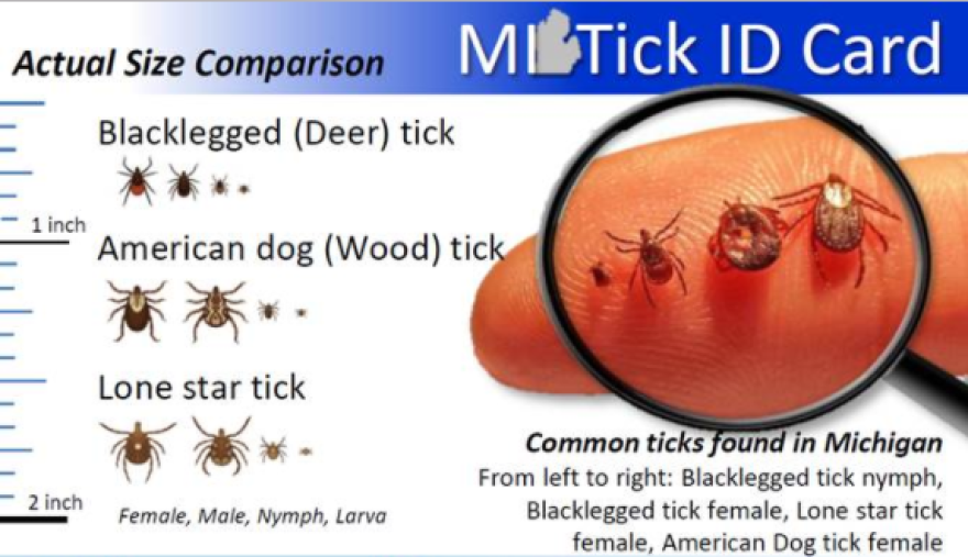 Image of Michigan tick identification card consisting of common ticks found in Michigan including Blacklegged (Deer) tick, American dog (Wood) tick, and the Lone star tick.
