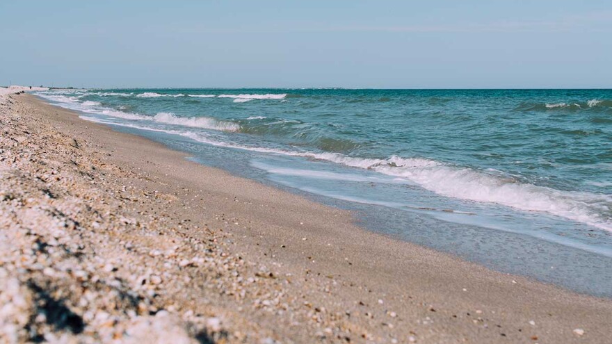 Photo by Rodion Kutsaev on Unsplash.com