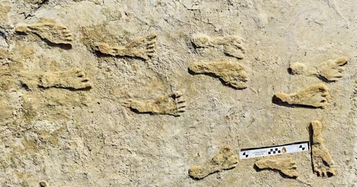 Huellas fósiles en Nuevo México sugieren que los humanos han estado aquí más tiempo de lo que pensábamos Huellas fósiles en Nuevo México sugieren que los humanos han estado aquí más tiempo de lo que pensábamos