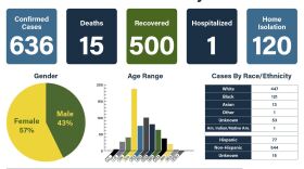 graphic showingcoronavirus disease cases in McLean County