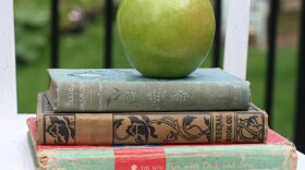 photo of an apple on top of books