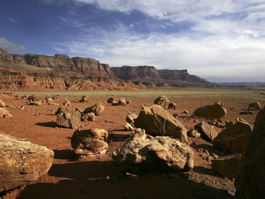 The Vermillion Cliffs National Monument hosts not only the vivid hues of the sunset, but a winged visitor too: the California condor, which conservationists hope will find a more hospitable home here.