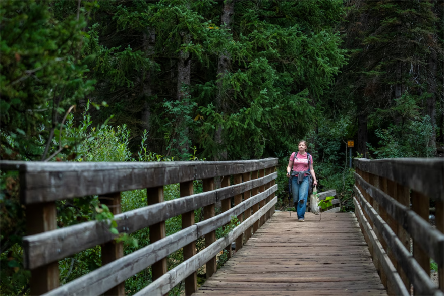 A person walks down a wooden bridge in a forest.