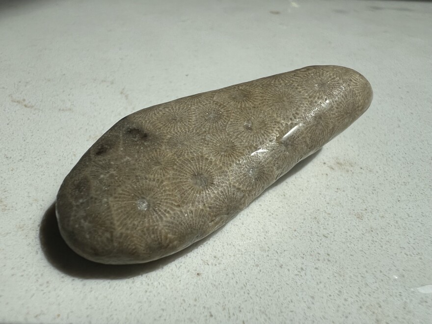 an oblong Petoskey stone rests on a white stone countertop