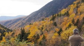 In this Monday, Oct. 13, 2014 photo, a tourist photographs Crawford Notch in Carroll, N.H., as foliage reaches peak in New Hampshire's White Mountains.