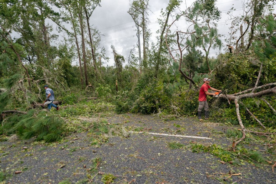 Tampa Dog Show Fire Rescue Efforts