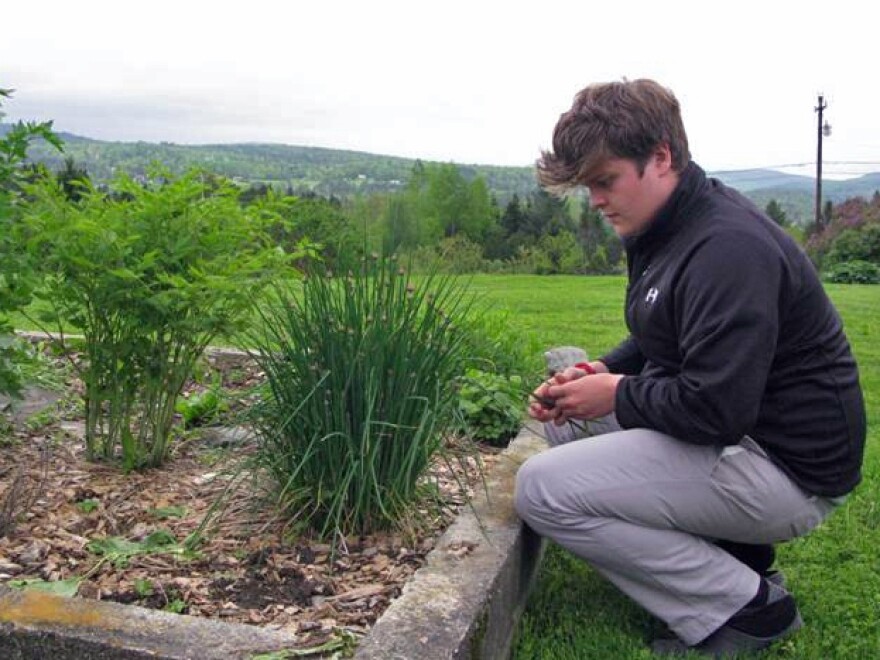 Finn Kane, a high school student, picks some things for dinner in his family garden outside East Hardwick.