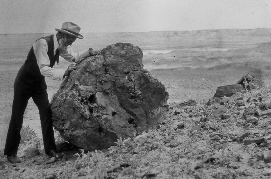 Naturalist John Muir at Arizona's Petrified Forest in 1905.