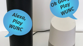 Image of Amazon Alexa and Google Home speakers