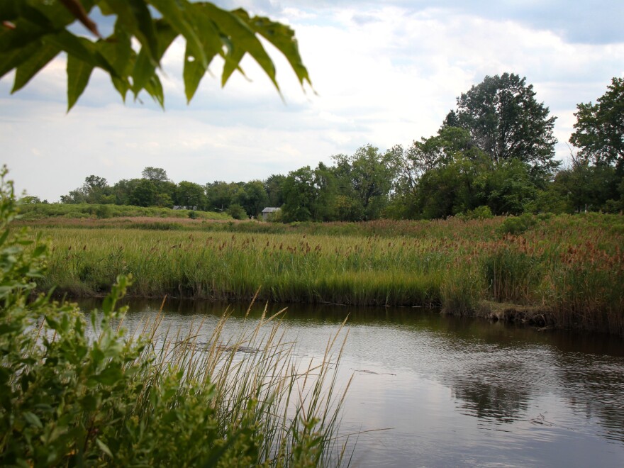 Woodbridge, N.J., is right on the water — and Coleman's home was only 6 feet above sea level.