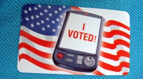 Friday, November 4th is the last day of early voting for the November 8th elections.