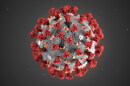 Coronavirus Illustration