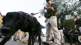 Police units with bomb-sniffing dogs deploy before rehearsal for the annual Boston Pops orchestra Fourth of July concert. (AP Photo/Michael Dwyer)