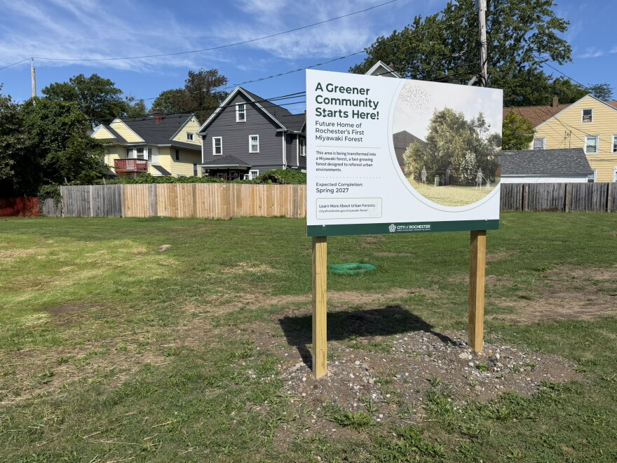 A sign at 354 Driving Park Ave., Rochester, informing passers-by of the city's plans to turn the lot into a forest.