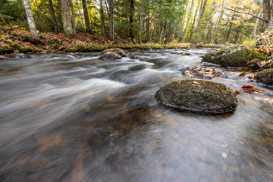 Photograph of the Wáhsehtəkʷ effort. Penobscot Nation and Trust for Public Land are working to restore nearly 30,000 acres to the Penobscot Nation. Once complete, it will be one of the largest land returns between a U.S.-based nonprofit and a tribal nation, while creating much-needed access to Katahdin Woods and Waters National Monument.