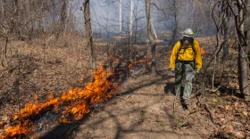 Nathan Speagle walks along the edge of a burn unit as he and other members of The Nature Conservancy’s Illinois Chapter control burn portions of the Shawnee March 25, 2026, in Makanda, Illinois.