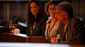 FILE - Department of Human Services Director Fariborz Pakseresht, right, testifies in front of the Oregon Senate Committee on Human Services on April 11, 2019, in Salem, Ore.