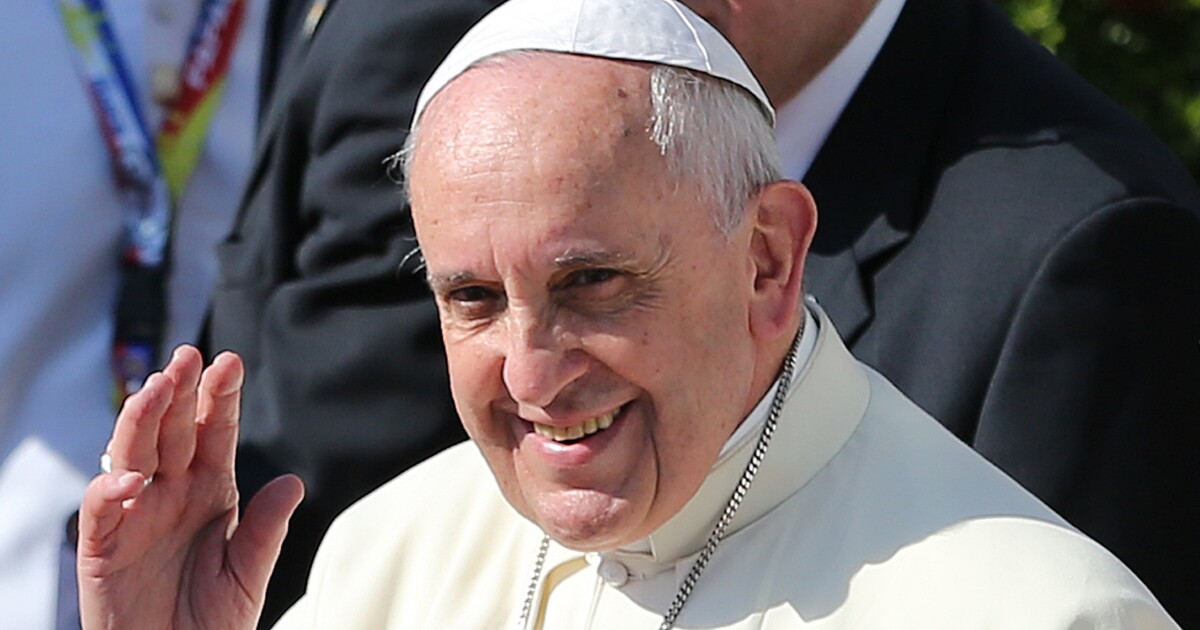 Pope Francis Says Catholics Don't Need To Breed 'Like Rabbits' | KNKX ...