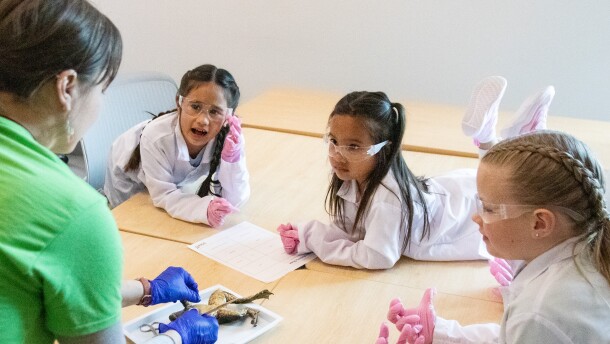 Girls watch a frog dissection at the Community Health Center of Southeast Kansas. They're at a camp aimed at introducing kids to careers in health care.