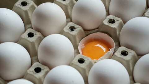 Dr. Cheung says the yolk contains the chemicals that may help protect the brain against Alzheimer's.