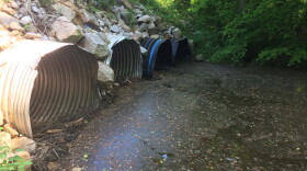 Obstructed culverts on the east side of Gills Creek Road.