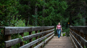 A woman walks down a wooden bridge in a forest.