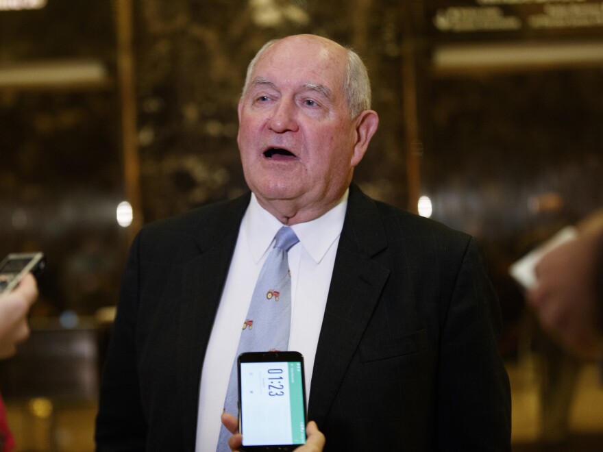 Former Georgia Gov. Sonny Perdue talks with reporters after meeting with President-elect Donald Trump in New York in November 2016. He's Trump's choice for agriculture secretary.