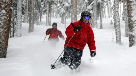 Two people in red jackets and ski gear ski through deep snow and between trees.
