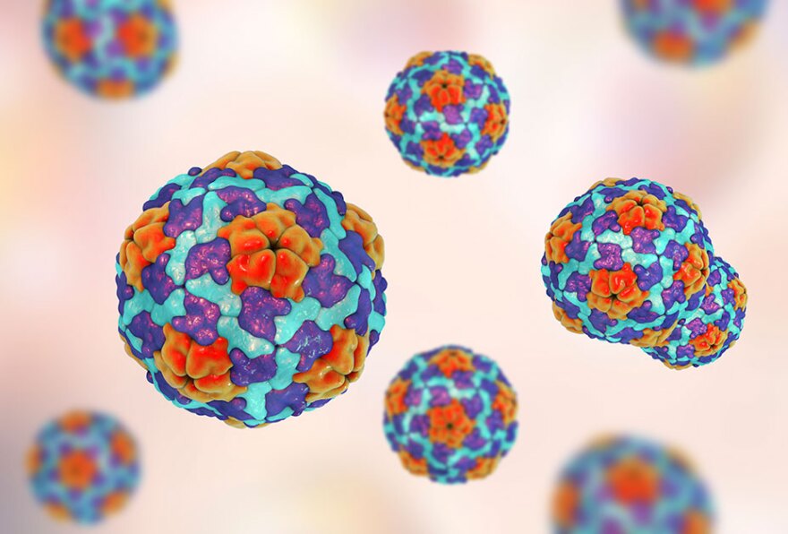 Hepatitis A