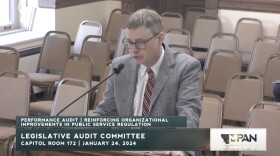 James Brown speaks before the Legislative Audit Committee.