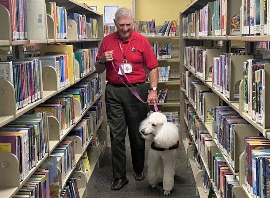  White haired man in red shirt walks white standard poodle through library stacks on a leash.