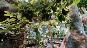The North Carolina Museum of Natural Sciences in Raleigh offers a virtual tour of eight sectors of the museum including the Living Conservatory, a replica of a dry, tropical forest. 
