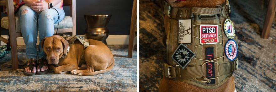 (Left) Brenda J. Faulkner, an Army veteran and co-founder of The Truman Foundation, sits with her service dog Truman. (Right) His vest includes patches identifying him as a PTSD and disabled veteran service dog.