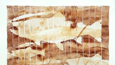 Artist Sally Veach used a pigment made from the orangey-yellow mining sludge called 'Yellow Boy' to make paintings for this exhibit. This one shows several brook trout, which require a very healthy stream to survive.