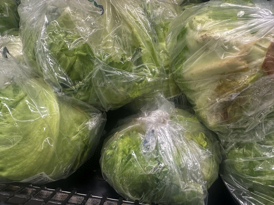 Iceberg lettuce wrapped in plastic.