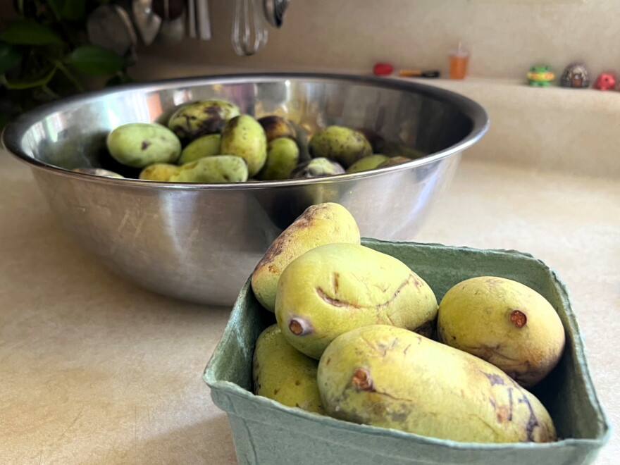 Two bowls of green pawpaws sit on a kitchen counter.