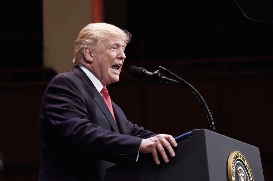 President Donald Trump speaks during the Celebrate Freedom Rally at the John F. Kennedy Center for the Performing Arts on July 1, 2017  in Washington. (Olivier Douliery-Pool via Getty Images)