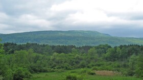 View of South Forest NRDAR property, Tully, NY, looking west. This is part of the property that will be managed by Onondaga Nation, in accordance with Traditional Ecological Knowledge.