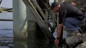 Fort Mojave Indian Tribe chairman Timothy Williams, wearing a black T-shirt, black baseball hat, blue jeans and work boots, is seen bending down to check the water level at the tribe’s water pumps near the Colorado River.