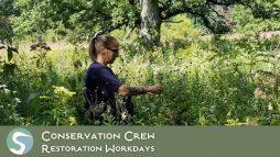 Conservation Crew Restoration Workdays (1).jpg