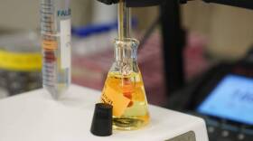 A water sample is measured as part of a PFAS drinking water treatment experiment. (Joshua A. Bickel/AP)