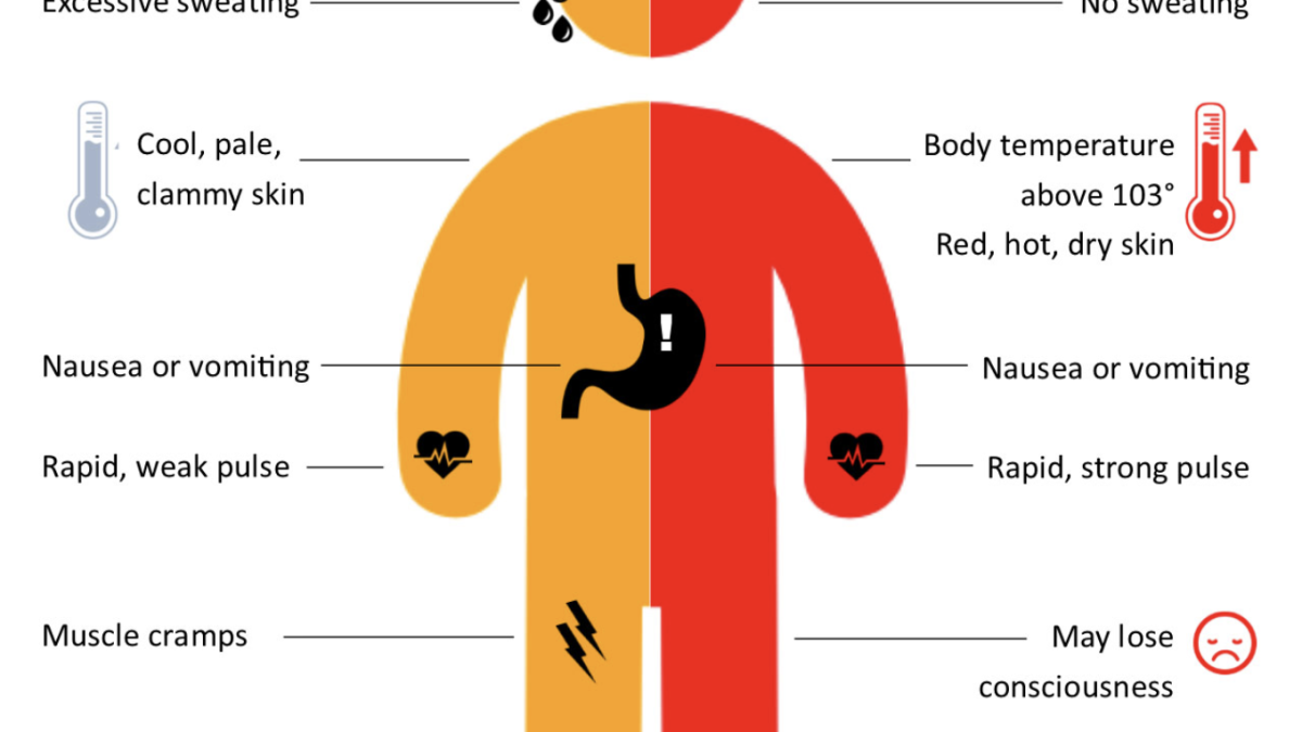 semaglutide and heat exhaustion Can Your GLP-1 Medication Make You More Prone to Illness? Knowing the signs of heat
