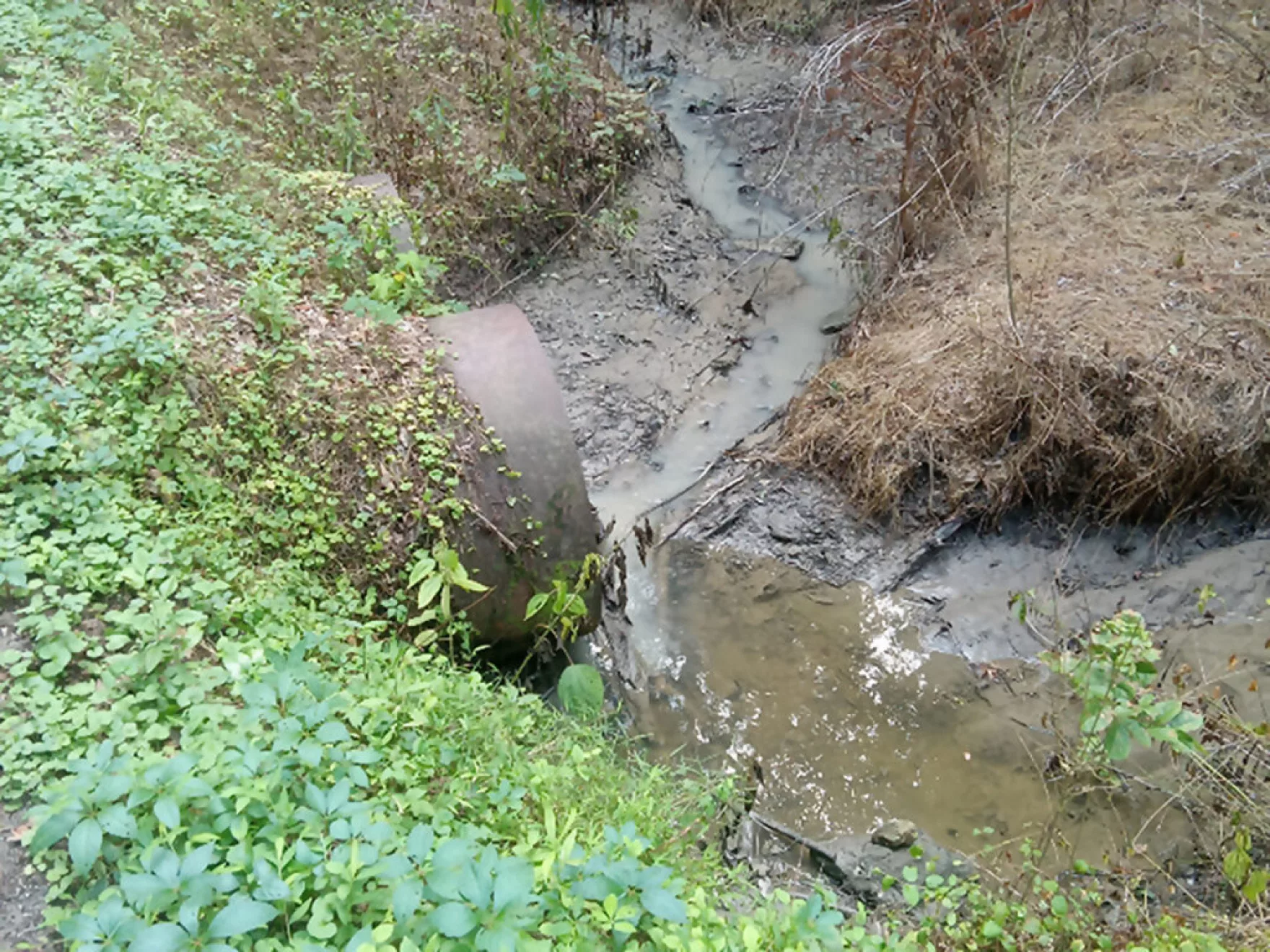Rainstorm blamed for a recent sediment pollution problem in lower Neuse River tributary