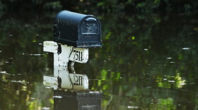 The Sheehan's mailbox more than 24 hours after the storm. Neighbors say it was almost submerged before the county began draining the stormwater. (Grace King / WUFT News)