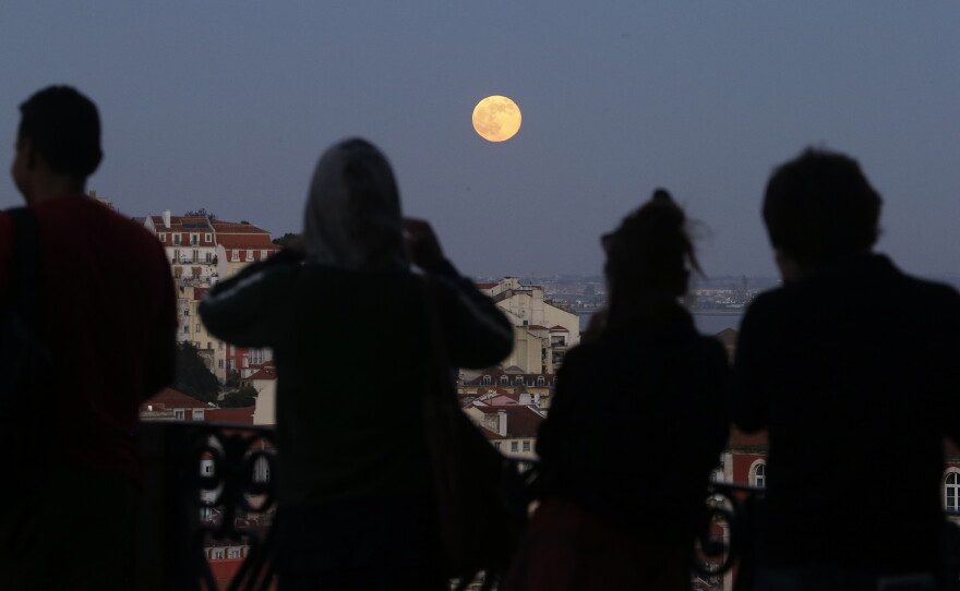 Spectators at a public garden in Lisbon, Portugal, June 23