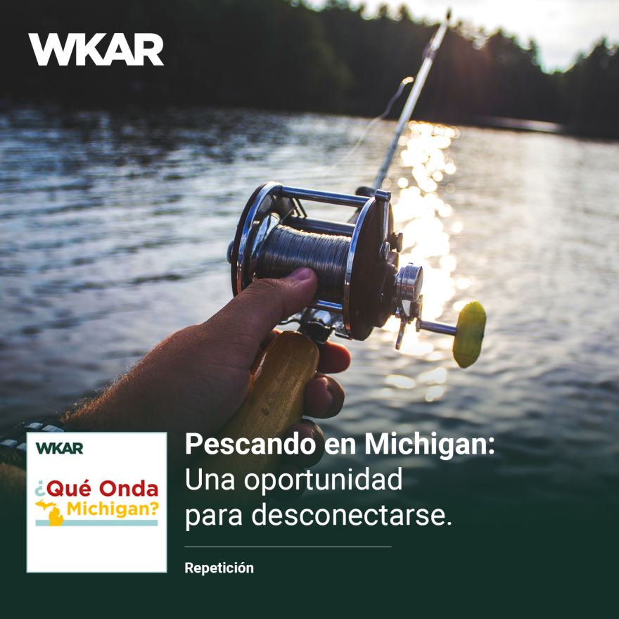 En la imagen se puede observar el brazo de una persona de piel blanca agarrando una caña de pescar. La caña esta apuntada hacia un rio rodeado de arboles.  En el lado superior derecho de la imagen se encuentra escrito las siguientes palabras en blanco sobre un rectangulo de color negro: 'Pescando en Michigan: Una Oportunidad Para Desconectarse'. En la parte inferior derecha se puede observar un cuadrado pequeño  blanco en el cual está escrito 'WKAR' con el logo de  ¿Qué onda Michigan?. En el lado izquiero superior del cuadrado pequeño está escrito "repeticion" significando que este es un episodio repetido. 