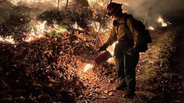 A firefighter is lighting a controlled burn with a red canister. Fire is burning in controlled lines in the background of the photo. It's dark and smoky out. 