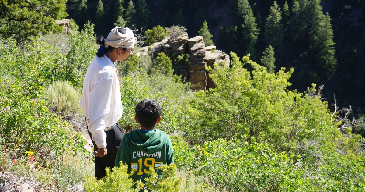 An elder and a young boy look out over the green mountain country on the way to sheep camp