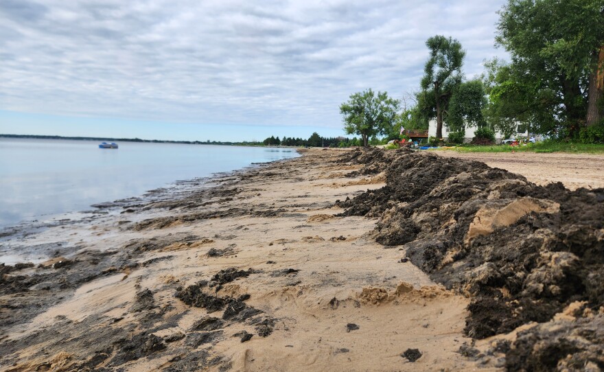 Debris sits in piles after being raked up from shore during a beach clean up by Blair Street Pier in Alpena, Michigan on Wednesday, July 29, 2026.