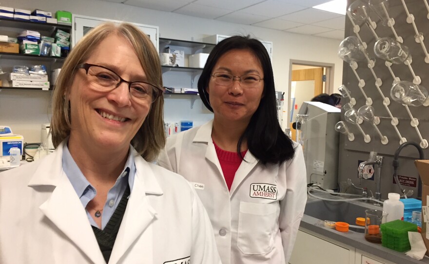 UMass food scientists Lynne McLandsborough, left, and Lili He.